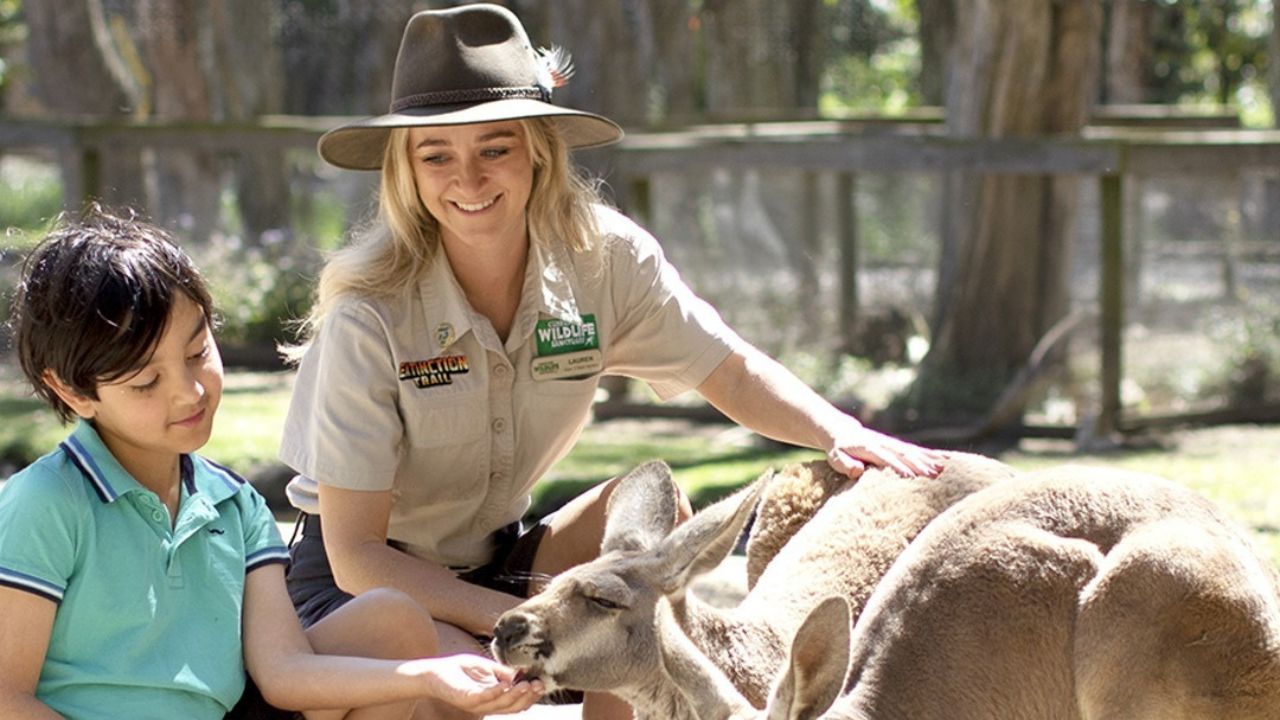 Currumbin Wildlife Sanctuary guide with Kangaroo and park visitor