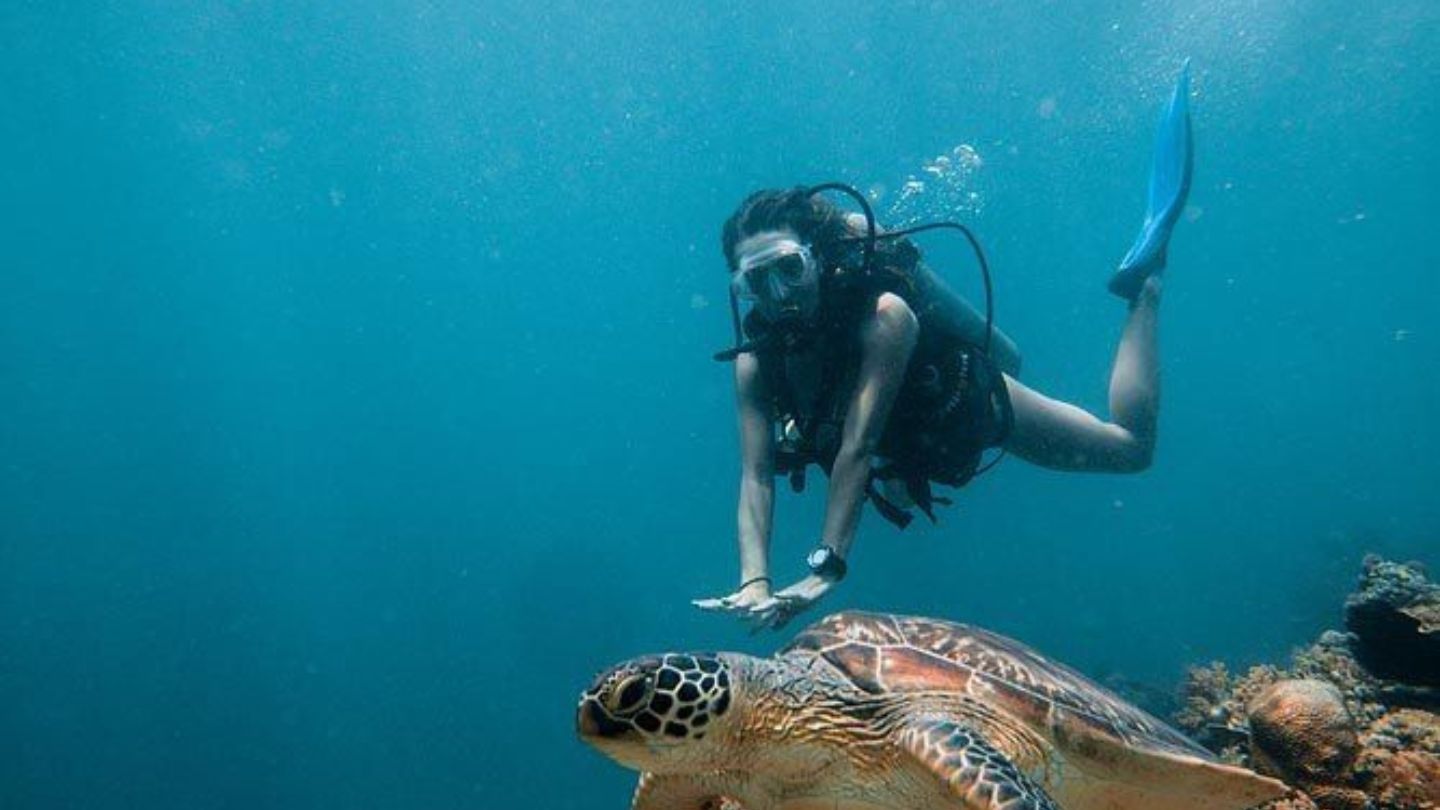 backpacker enjoying scuba diving with a turtle in the Whitsundays